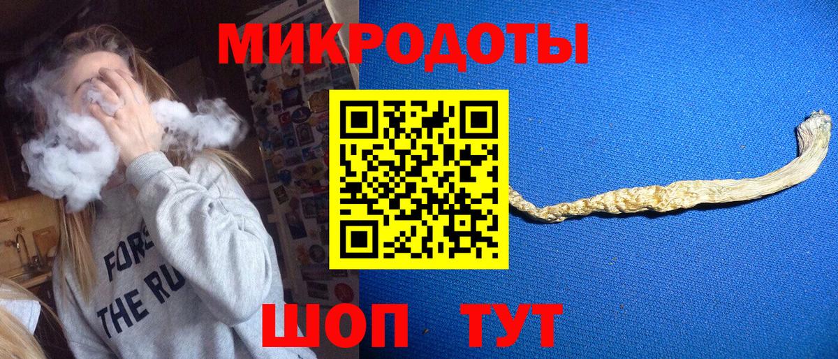 Псилоцибиновые грибы GOLDEN TEACHER Заводоуковск