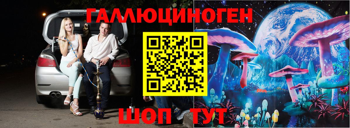 Заводоуковск  Псилоцибиновые грибы Psilocybine cubensis  Вход с VPN 